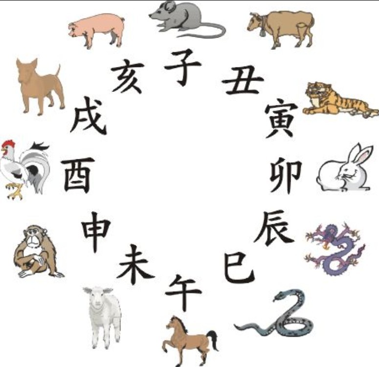 12生肖的时辰表是什么？