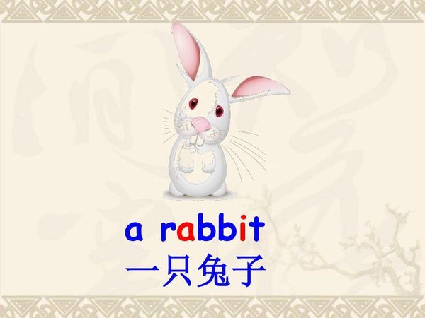 rabbit怎么读