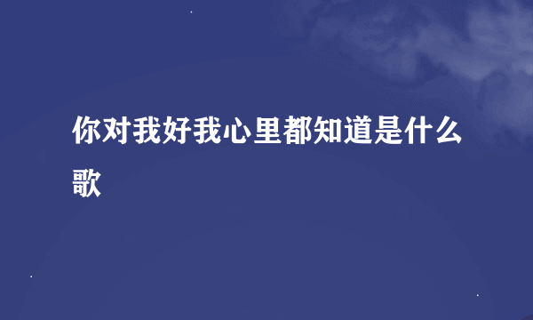 你对我好我心里都知道是什么歌