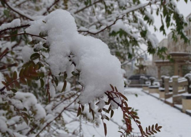 长空雪尚飘,改尽江山旧。谁的诗？