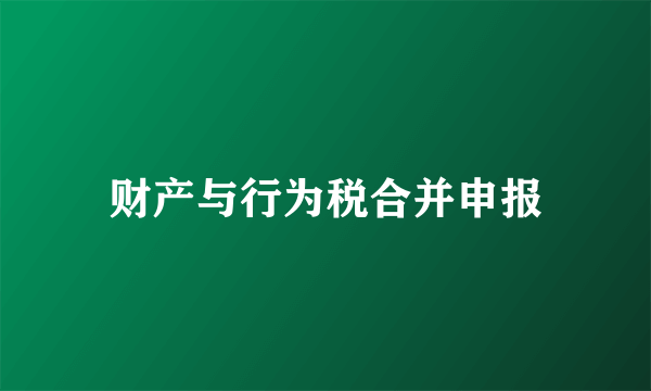 财产与行为税合并申报