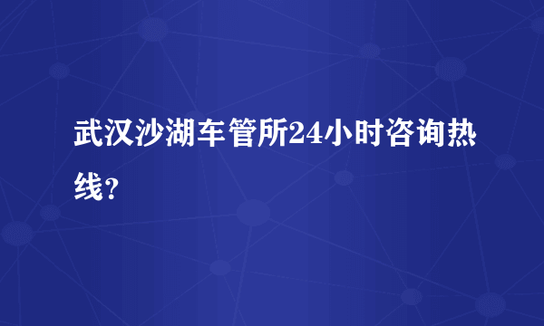 武汉沙湖车管所24小时咨询热线？