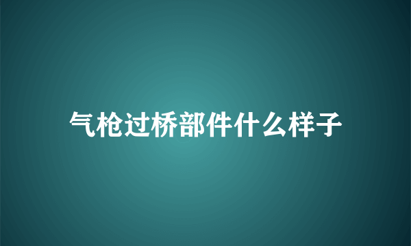 气枪过桥部件什么样子