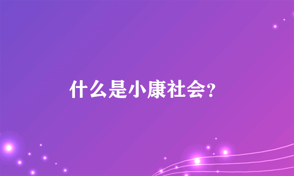 什么是小康社会？