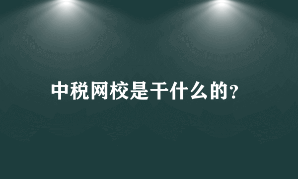 中税网校是干什么的？