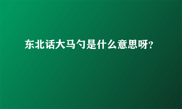 东北话大马勺是什么意思呀？