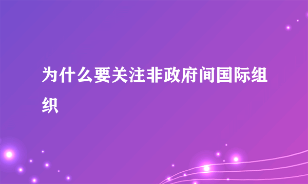 为什么要关注非政府间国际组织