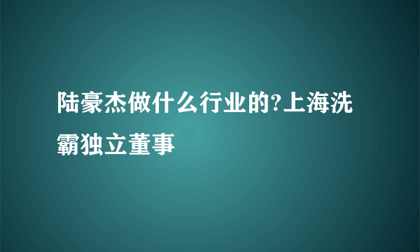 陆豪杰做什么行业的?上海洗霸独立董事