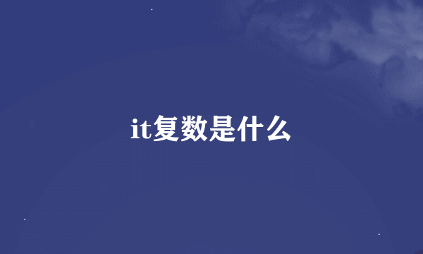 it复数是什么