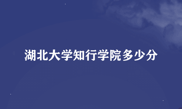 湖北大学知行学院多少分