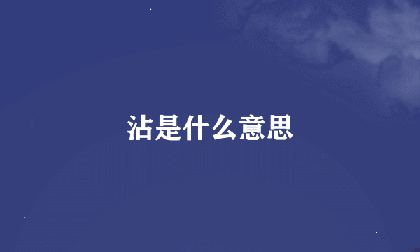 沾是什么意思