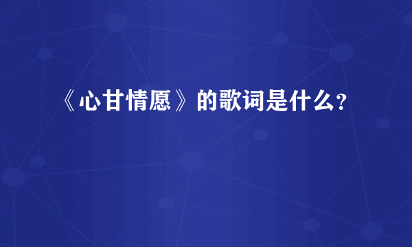 《心甘情愿》的歌词是什么？