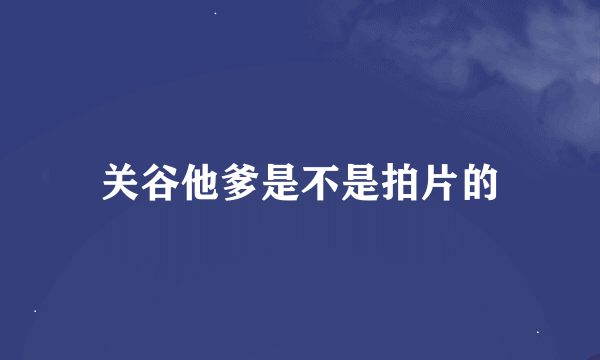 关谷他爹是不是拍片的