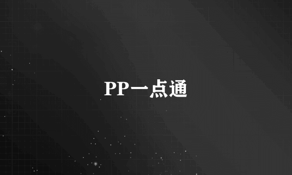 PP一点通