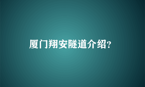 厦门翔安隧道介绍？