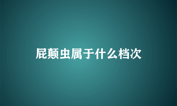 屁颠虫属于什么档次