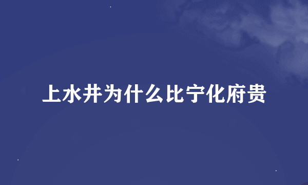 上水井为什么比宁化府贵