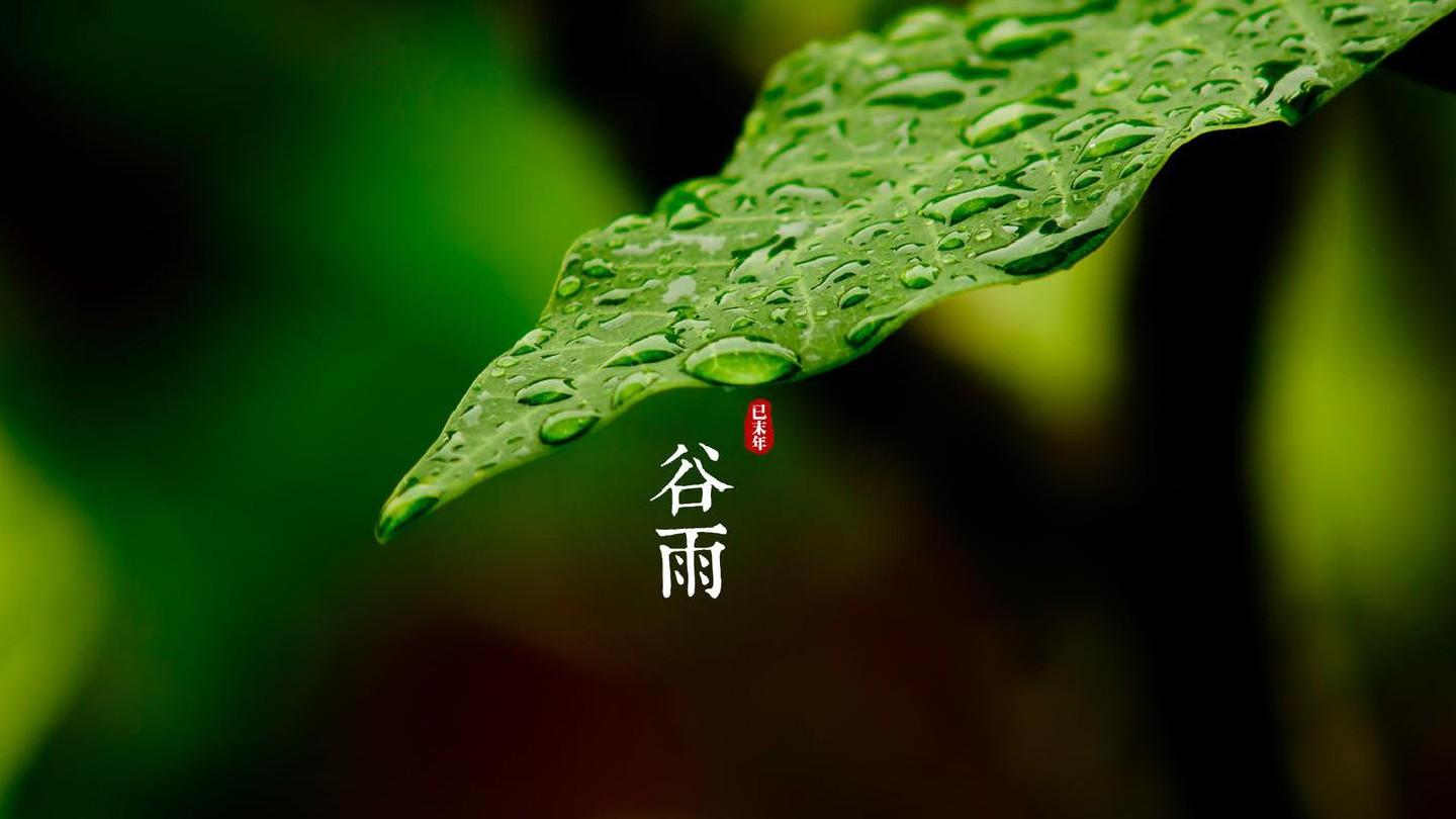 谷雨的美好寓意是什么