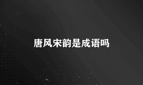 唐风宋韵是成语吗