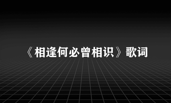 《相逢何必曾相识》歌词