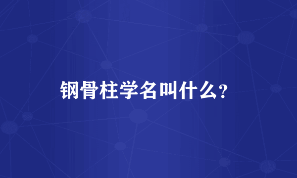 钢骨柱学名叫什么？