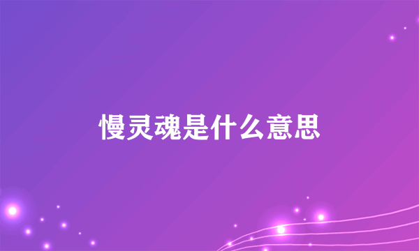 慢灵魂是什么意思