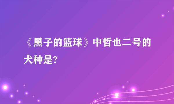 《黑子的篮球》中哲也二号的犬种是?