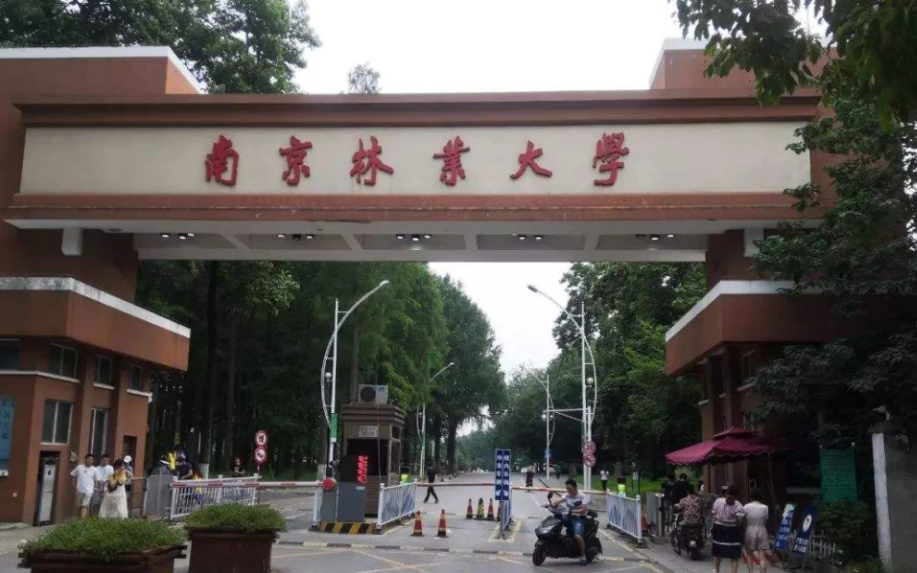 南京林业大学研究生值得考吗