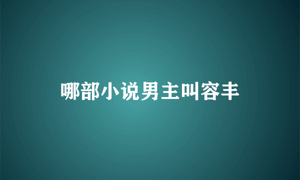 哪部小说男主叫容丰