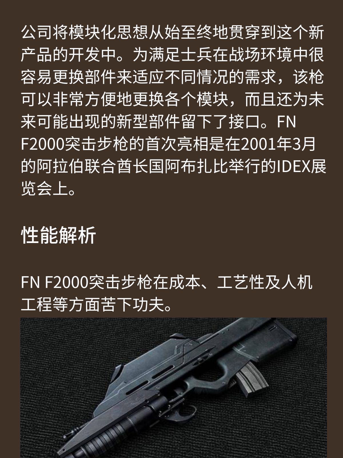 比利时FN F2000突击步枪