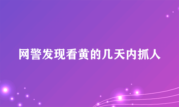 网警发现看黄的几天内抓人