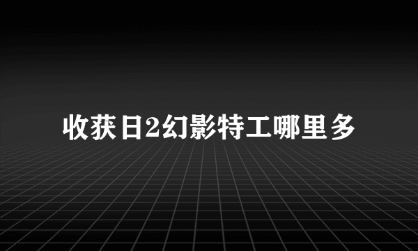 收获日2幻影特工哪里多