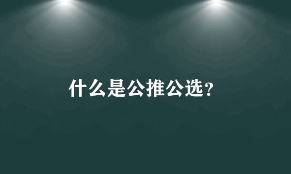 什么是公推公选？