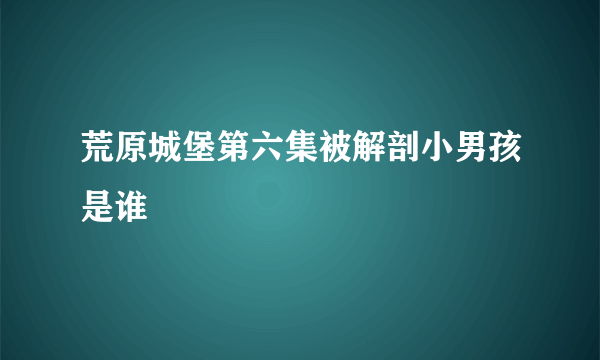 荒原城堡第六集被解剖小男孩是谁