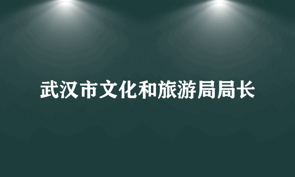 武汉市文化和旅游局局长