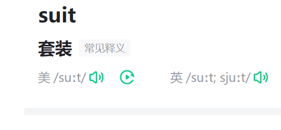 suit是什么意思