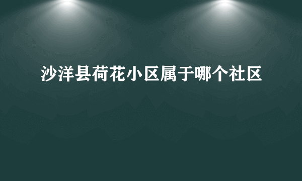 沙洋县荷花小区属于哪个社区