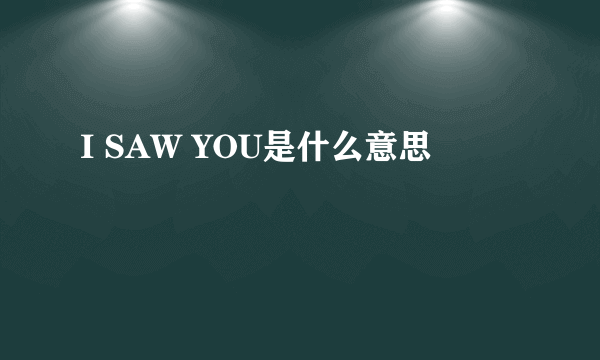 I SAW YOU是什么意思