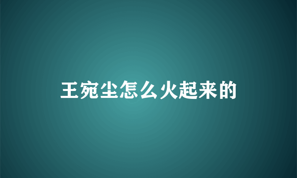 王宛尘怎么火起来的