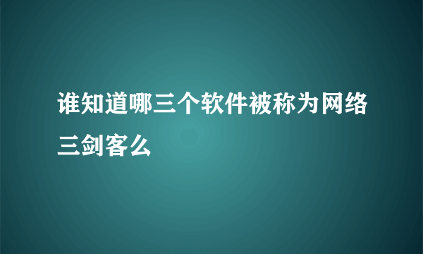 谁知道哪三个软件被称为网络三剑客么