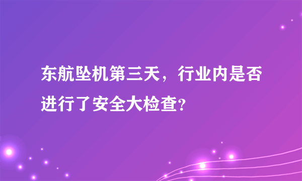 东航坠机第三天，行业内是否进行了安全大检查？