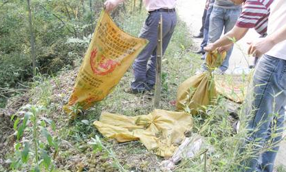 武汉菜市场偷卖野生蛙，食用野生动物有什么危害？