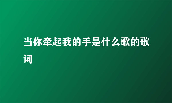 当你牵起我的手是什么歌的歌词