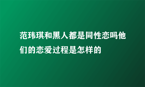 范玮琪和黑人都是同性恋吗他们的恋爱过程是怎样的