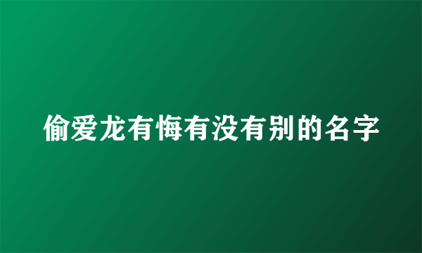 偷爱龙有悔有没有别的名字