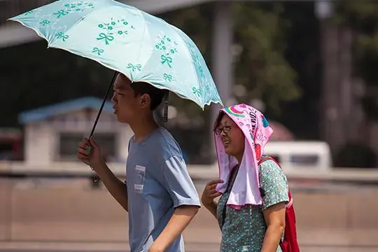 河南有多热？蚂蚁落地3秒暴毙，这种高温天气正常吗？