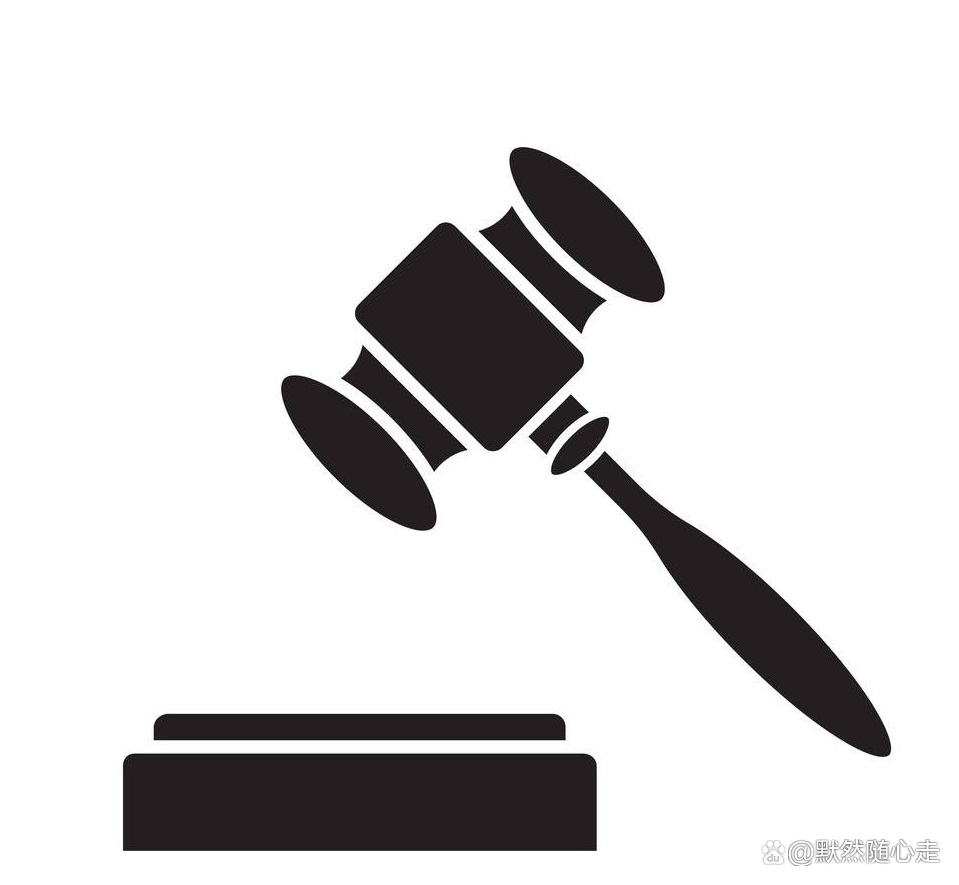 黑河首起恶势力案13名被告均判无罪，法院的这一判决合理吗？