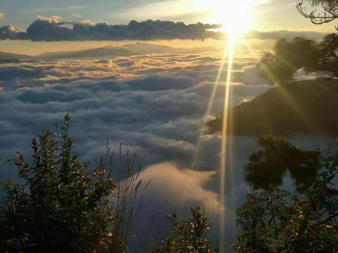 哀牢山究竟是座什么样的山？