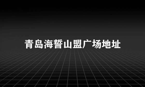 青岛海誓山盟广场地址