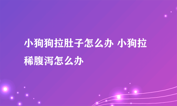 小狗狗拉肚子怎么办 小狗拉稀腹泻怎么办